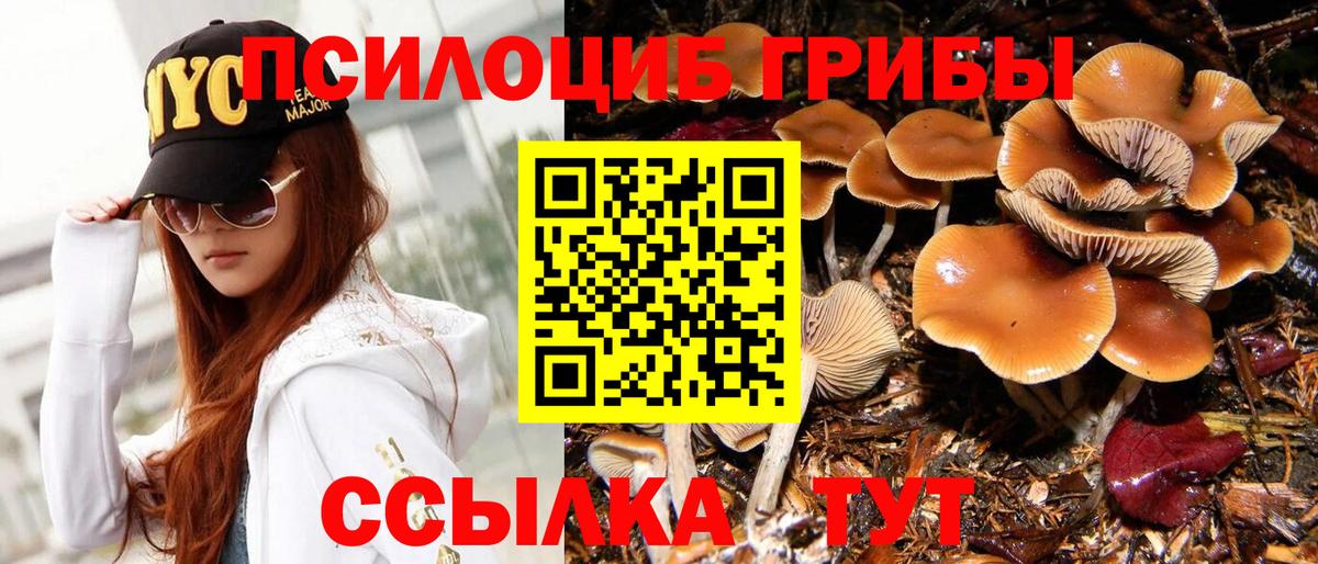 Ярославль  Галлюциногенные грибы ЛСД  Псилоцибиновые грибы мицелий  Вход с VPN 